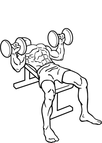 Dumbbell Bench Press